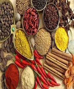 SPICES